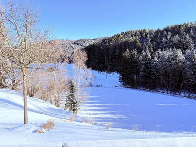 Bild 55 aus  Knappenhof