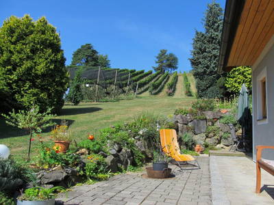 Bild 52 aus  Weingut Dietl - Der Abdruck des Genusses ****