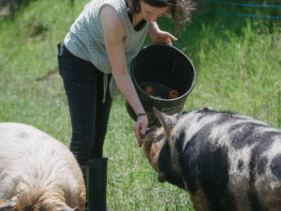 Bild 65 aus  Ferienwohnung Biohof Brandner