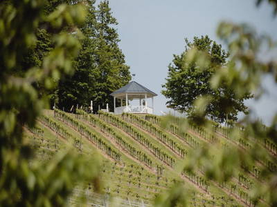 Bild 2 aus  Weingut Dietl - Der Abdruck des Genusses ****