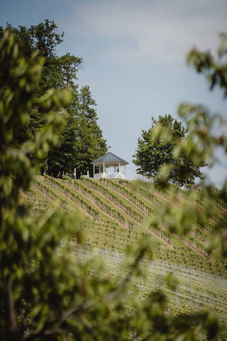 Weingut Dietl - Der Abdruck des Genusses **** aus Riegersburg