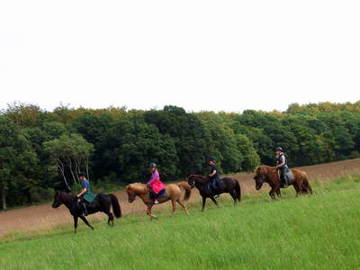 Bild 35 aus  Landhotel-Ferienhof Schneider