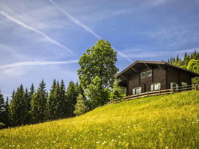 Bild 36 aus  Helfer-Alm