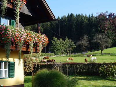 Bild 33 aus  Petritsch-Hof