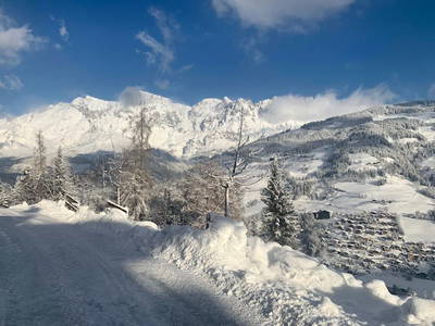 Bild 33 aus  Brennergut