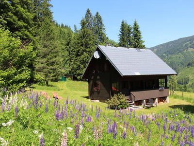 Bild 2 aus  Triebentalblick Hütte
