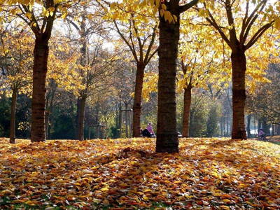 Bild 25 aus  Weingut Butzbach