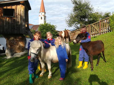 Bild 36 aus  Kinderbauernhof Ierzerhof Pitztal 