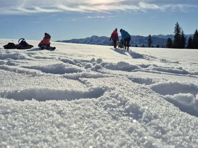 Bild 58 aus  Weitblickhof Roth