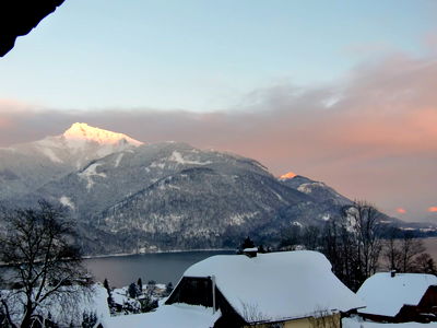 Bild 72 aus Archehof Eislbauer