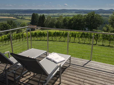 Bild 39 aus  Ferienhäuser im Weingarten