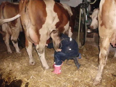 Bild 28 aus  Hanserhof