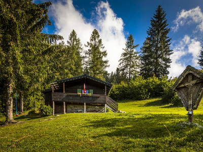 Bild 2 aus  Schwammerlhütte