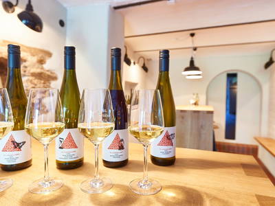 Bild 5 aus  Ferienweingut Willems, Maria Willems