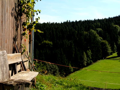 Bild 41 aus Biobauernhof Leitner Zizlbauer