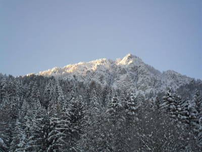 Bild 16 aus Zwanzgerhof