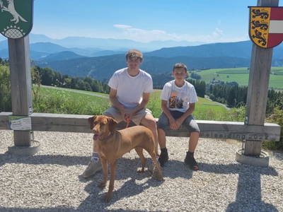 Bild 69 aus  Urlaub am Haberlehof