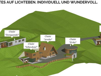 Bild 94 aus  Lichteben