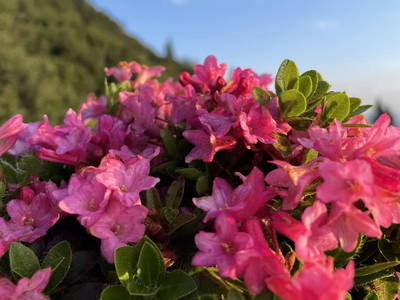 Bild 7 aus  Oberhaslachhof