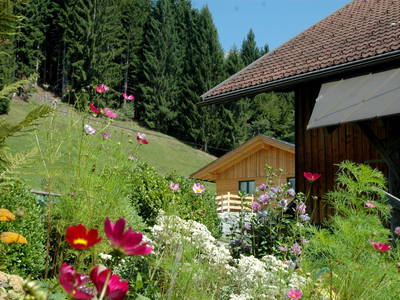 Bild 41 aus  Panoramahof am Goldberg