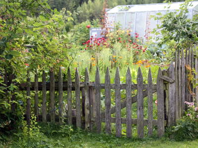 Bild 61 aus  Biohof Besenbäck