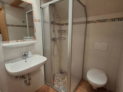 Bild 21 aus  Hanslgrabner