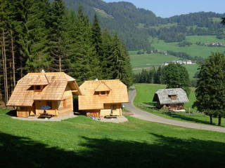 Podolerhof - Hüttenurlaub aus Mariahof