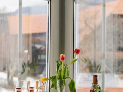 Bild 96 aus  Kleelehof