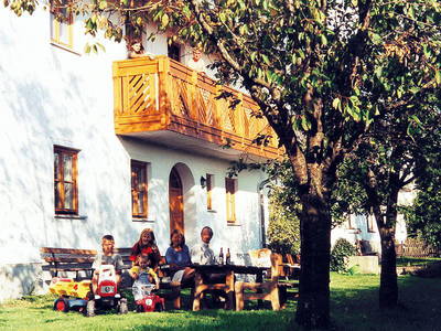 Bild 2 aus  Streicher