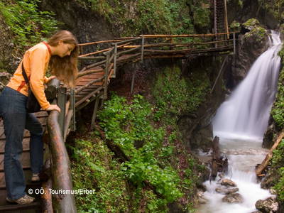 Bild 50 aus  Waldbothgut