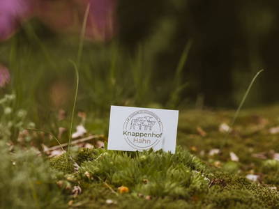 Bild 4 aus  Knappenhof