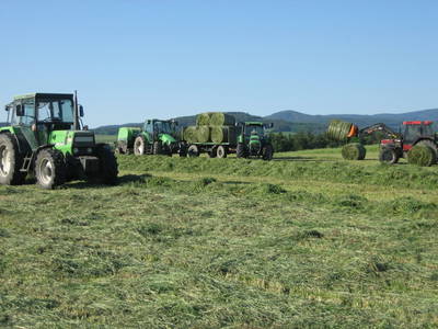 Bild 11 aus  Willi's Bauernhof