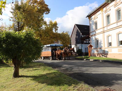 Bild 53 aus  Ferienhof Wolschendorf