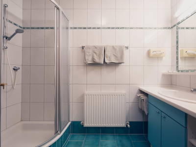 Bild 86 aus  Ladestatthof