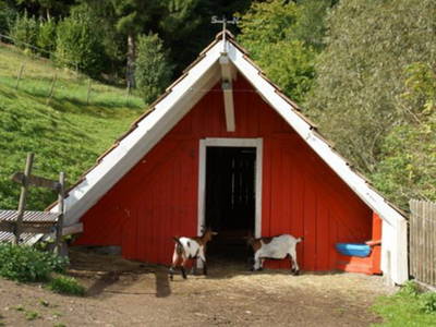 Bild 5 aus  Landeckhof