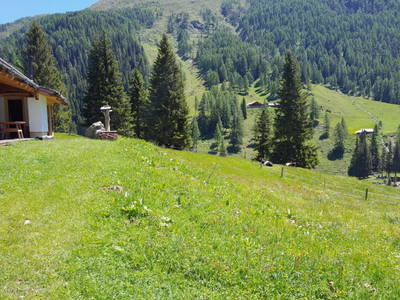 Bild 17 aus Schuster Alm