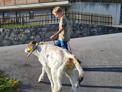 Bild 30 aus  Haus Lentsch