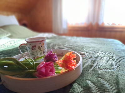 Bild 17 aus  Prechtlerhütte