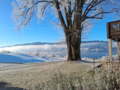 Bild 154 aus  Roiderhof am Irrsee