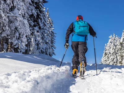 Bild 34 aus  Tom's Alpenhütte
