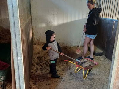 Bild 106 aus  Reiterhof Pfleger