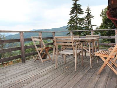 Bild 45 aus  Hirmhof