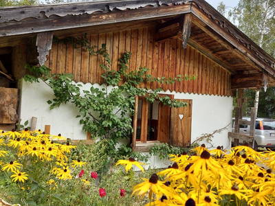 Bild 2 aus  Naturetouch -  Deine Kraftquelle in Steinberg am Rofan