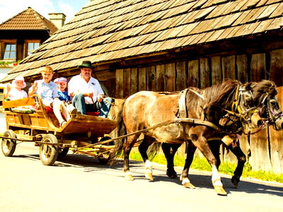Bild 11 aus Pension Zechnerhof