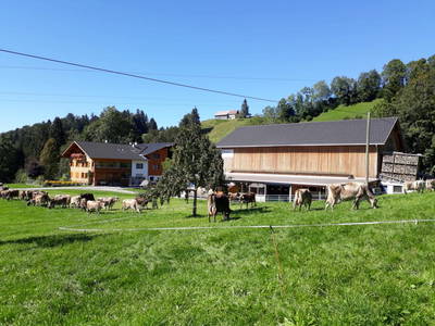 Bild 2 aus  Familie Nußbaumer 