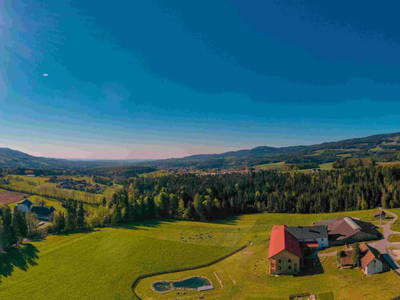 Bild 42 aus  Pircherhof - Adults Only am Biobauernhof