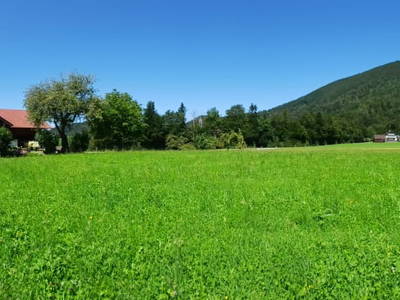 Bild 49 aus Bio-Bauernhof Vordergschwandtgut