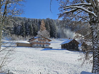 Bild 23 aus  Peterlehen