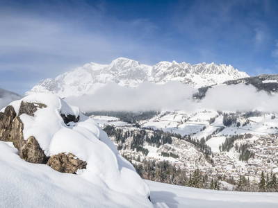 Bild 111 aus  Brennergut