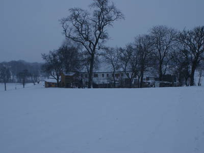 Bild 21 aus  Landhof Pihringer